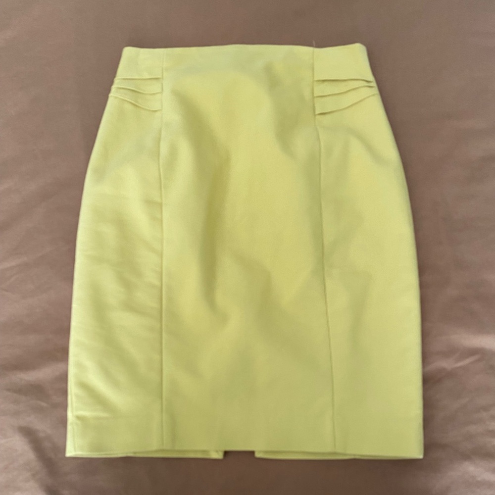 Express Pencil Skirt